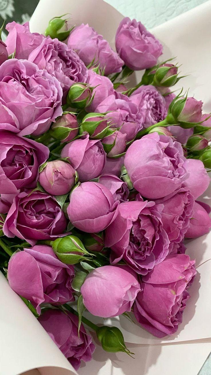 FernCrestQuarry workshop space where corporate flower arrangements are designed and prepared for business delivery